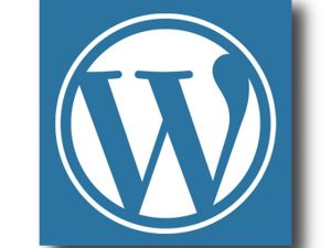 Έτοιμο WordPress Site